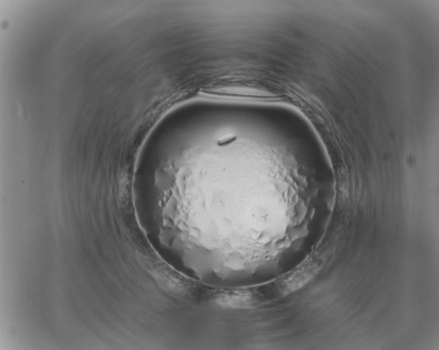 X0000064730369200602171648