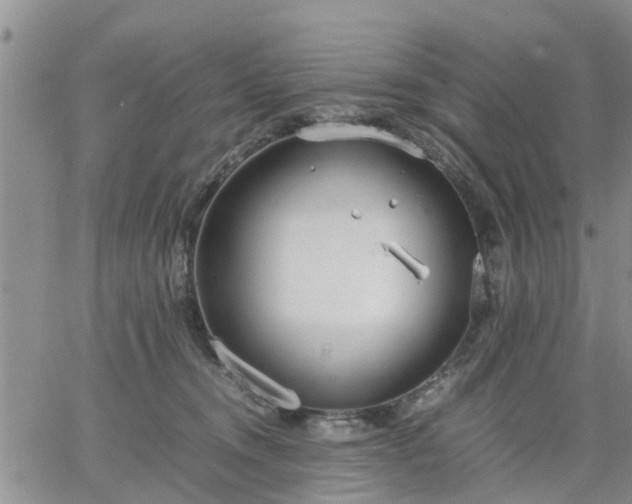 X0000064730372200602171648