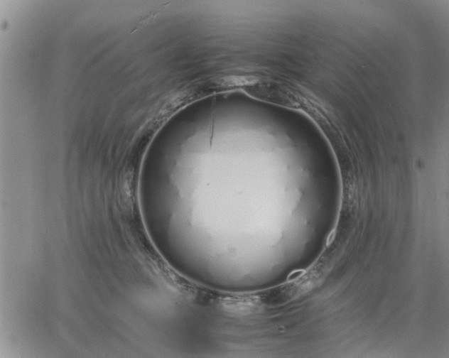 X0000064730373200602171648