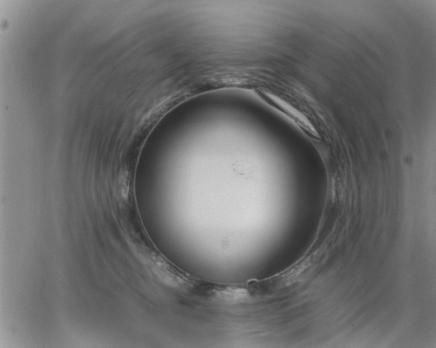 X0000064730374200602171648