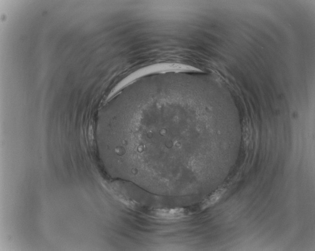 X0000064730375200602171648