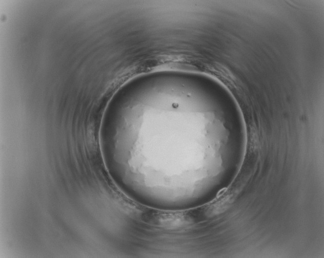 X0000064730377200602171648