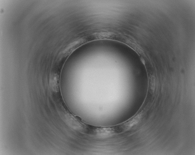 X0000064730378200602171648