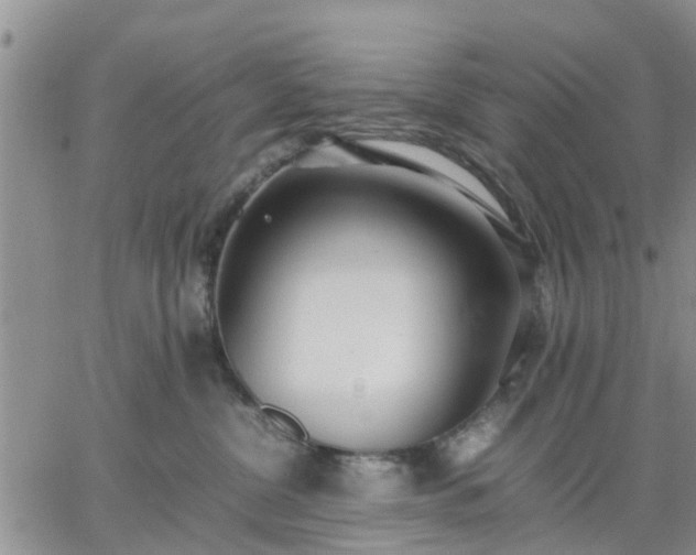 X0000064730380200602171648