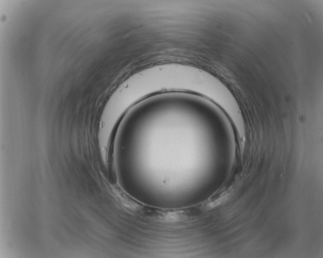 X0000064730382200602171648