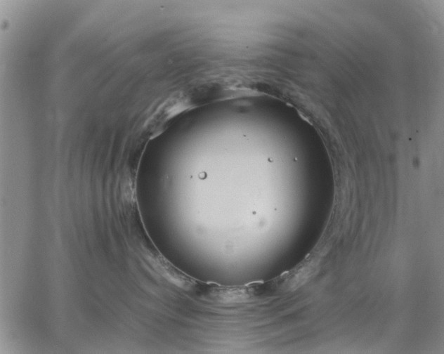 X0000064730384200602171648