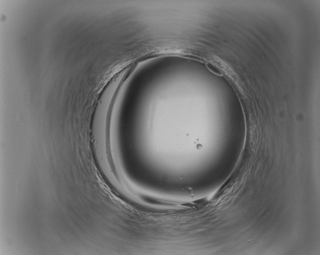 X0000064730385200602171647