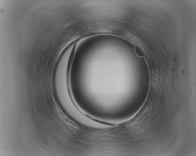 X0000064730386200602171647