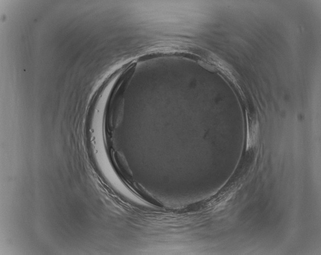 X0000064730387200602171647