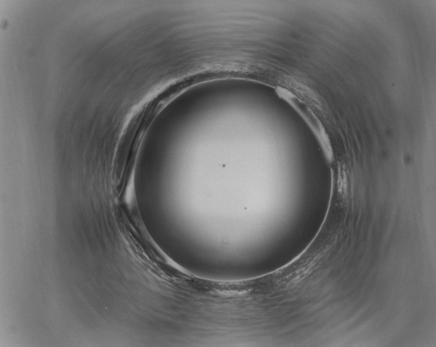 X0000064730388200602171647