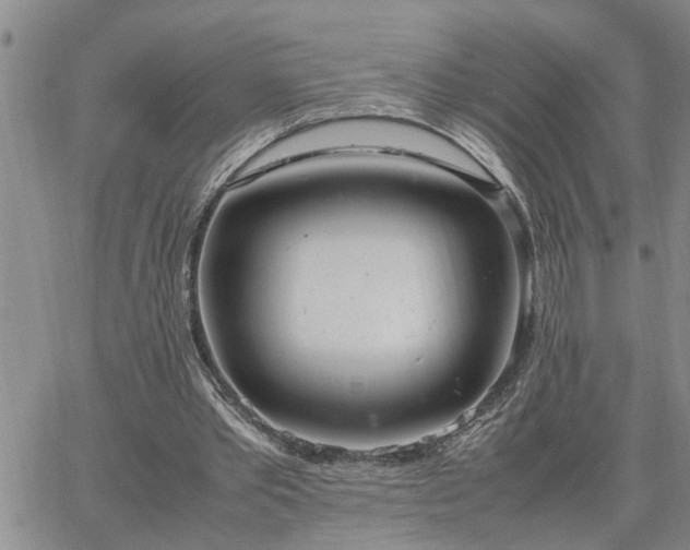 X0000064730389200602171647