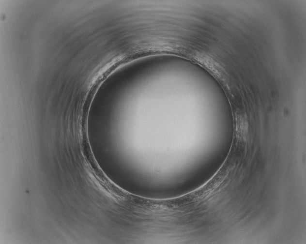 X0000064730390200602171647