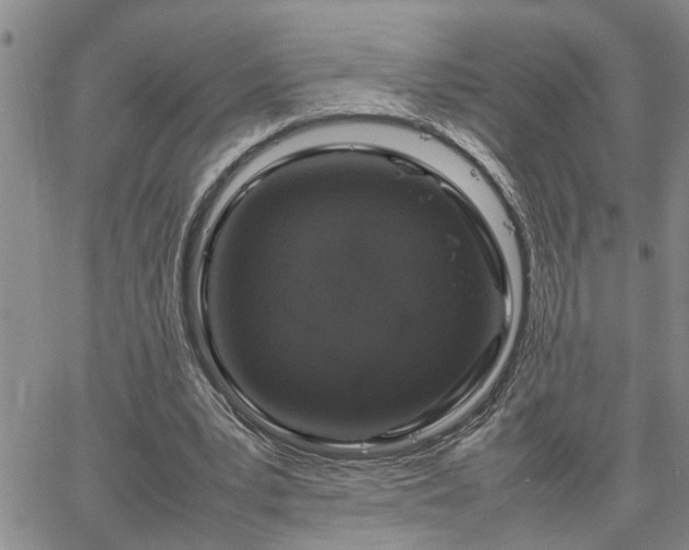 X0000064730391200602171647