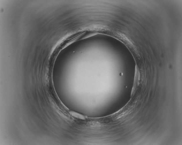 X0000064730392200602171647