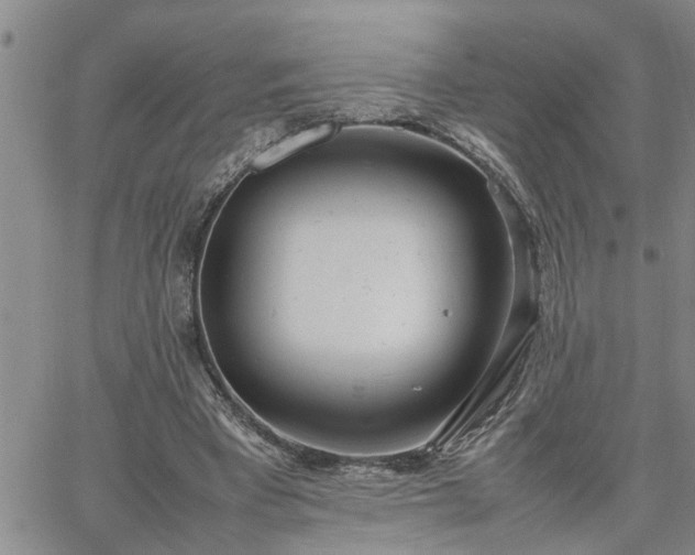 X0000064730393200602171647