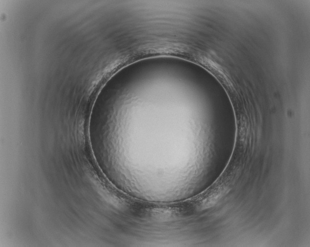 X0000064730394200602171647