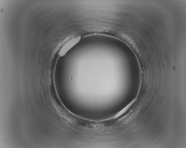 X0000064730395200602171647