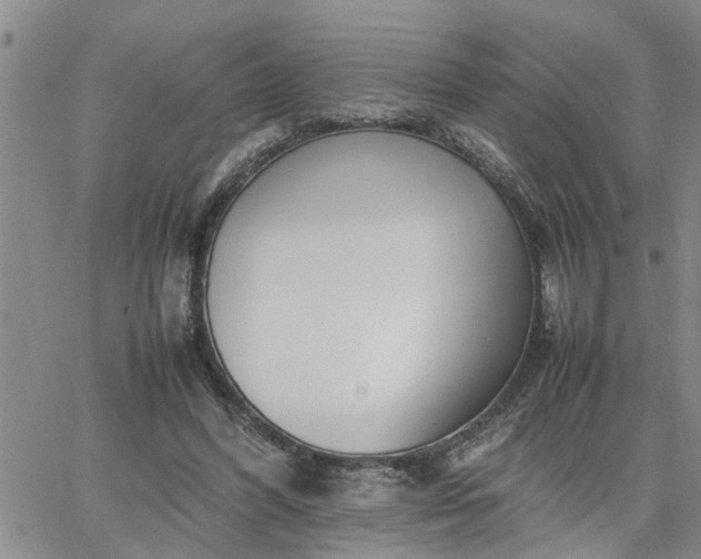 X0000064730396200602171647