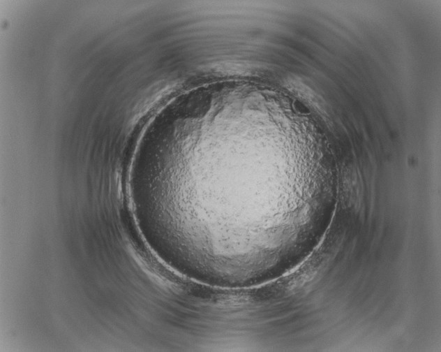 X0000064730398200602171647