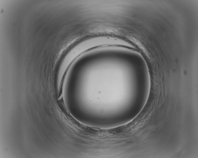 X0000064730399200602171647