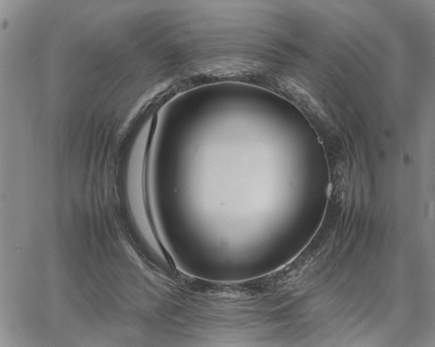 X0000064730400200602171647