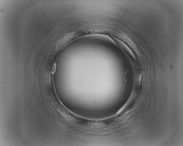 X0000064730401200602171647