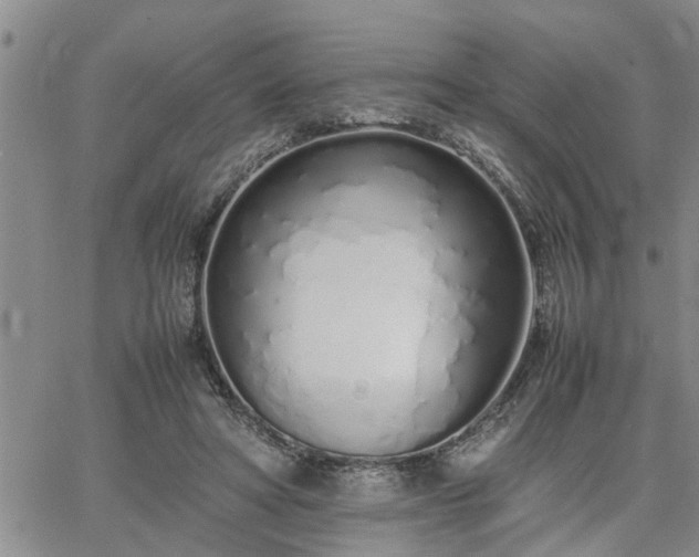 X0000064730402200602171647