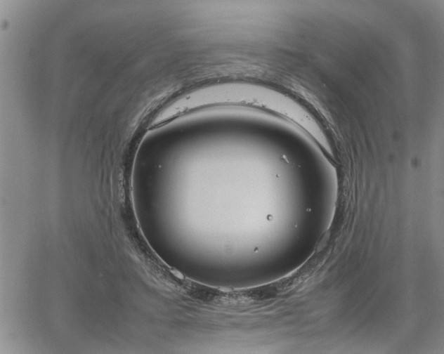 X0000064730403200602171647