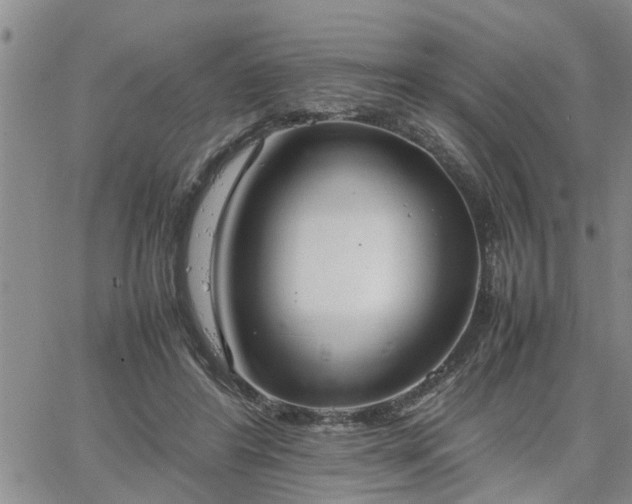 X0000064730404200602171647