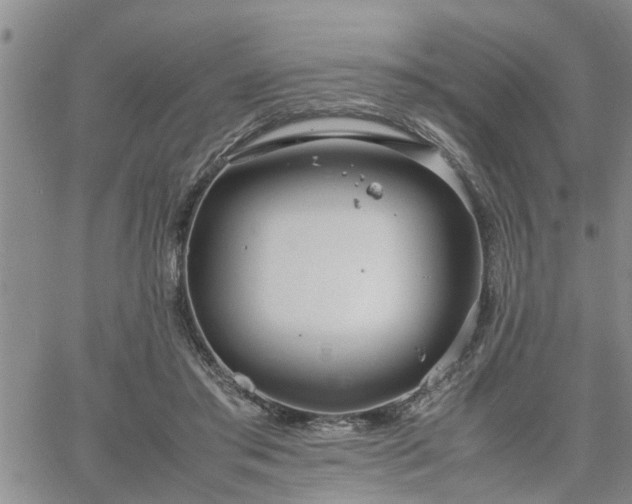 X0000064730405200602171647