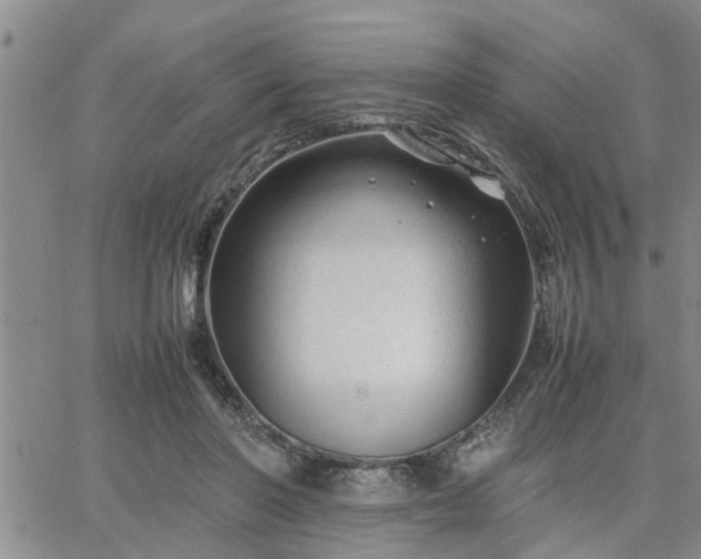 X0000064730406200602171647