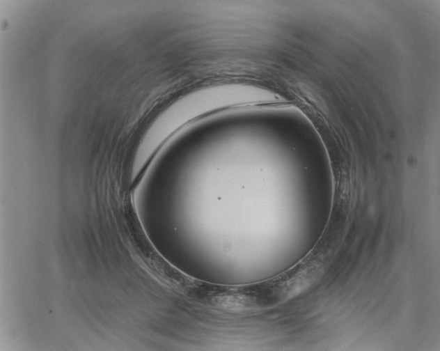 X0000064730408200602171647