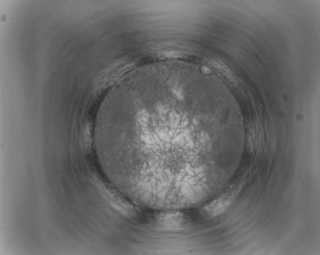 X0000064730410200602171647