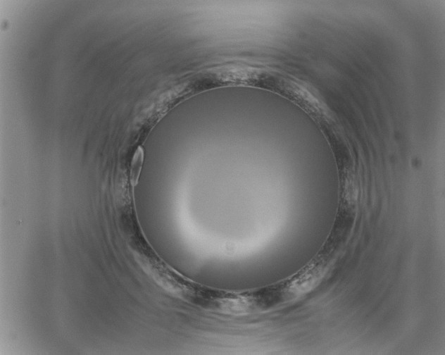 X0000064730411200602171647