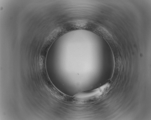 X0000064730412200602171647