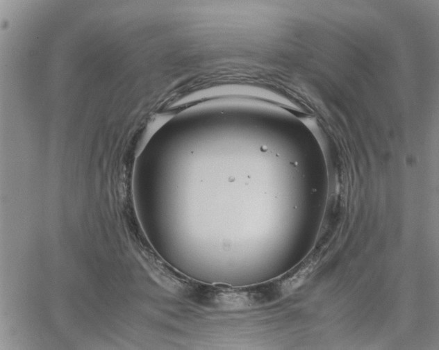 X0000064730413200602171647