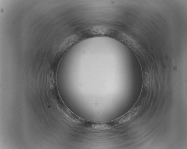 X0000064730414200602171647