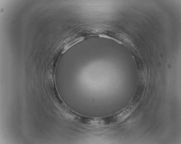 X0000064730415200602171647