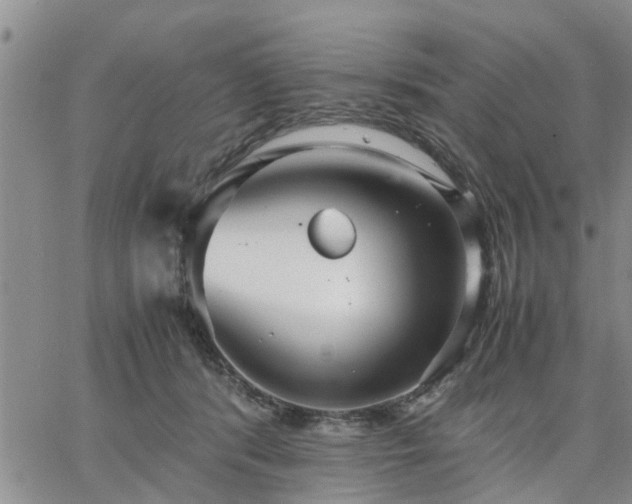 X0000064730416200602171646