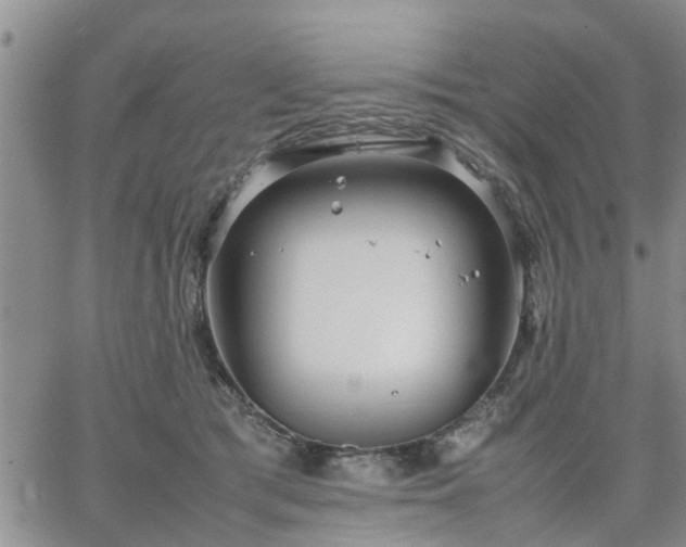 X0000064730417200602171646