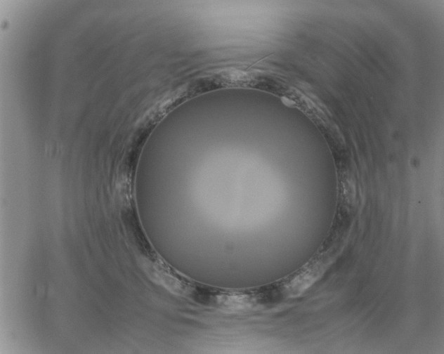 X0000064730419200602171646