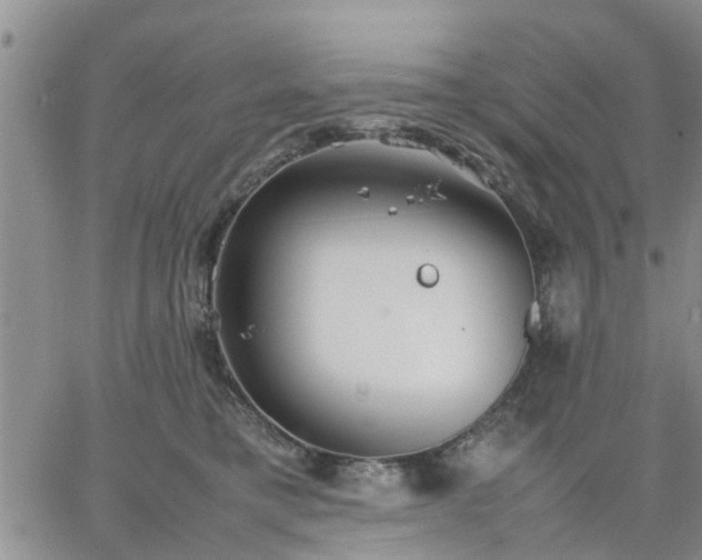 X0000064730421200602171646