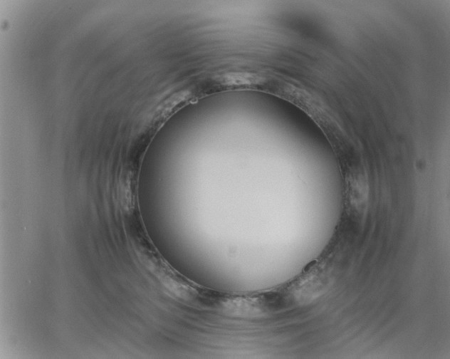 X0000064730422200602171646