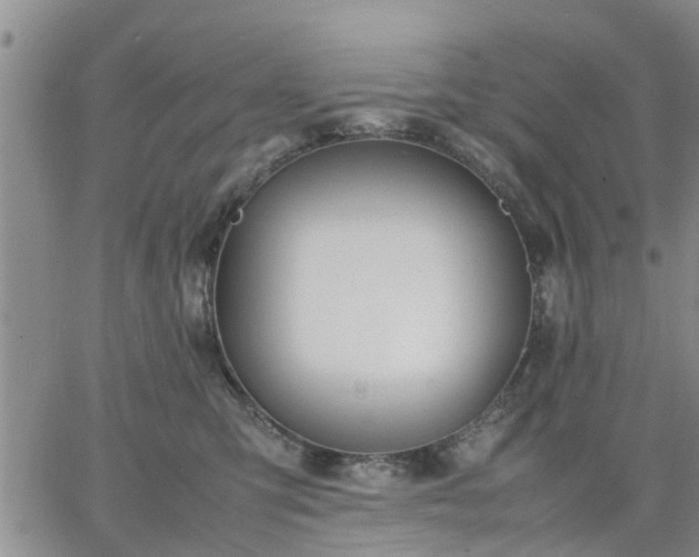 X0000064730423200602171646