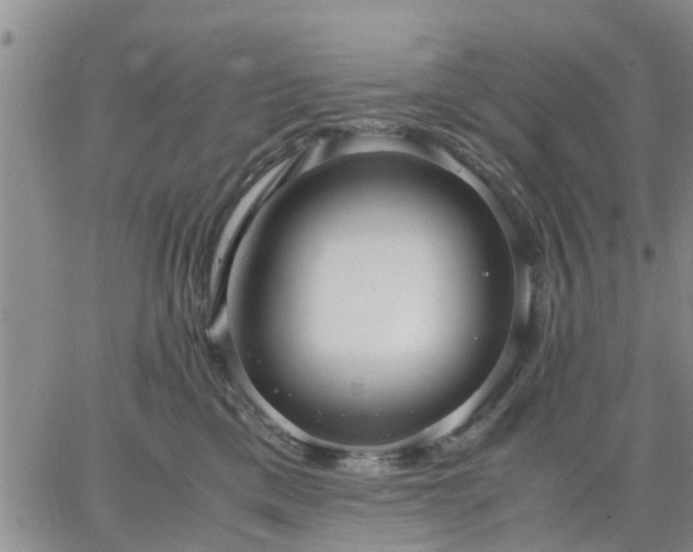 X0000064730425200602171646