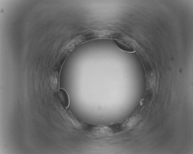 X0000064730427200602171646