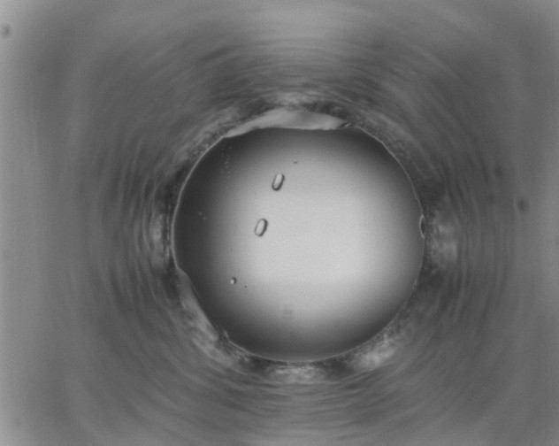 X0000064730428200602171646