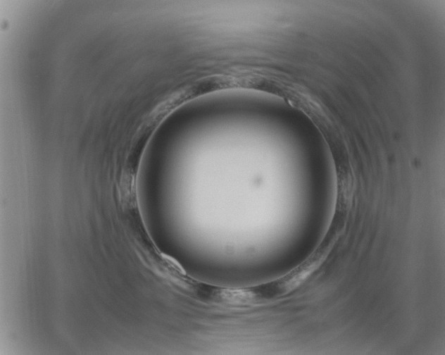 X0000064730429200602171646