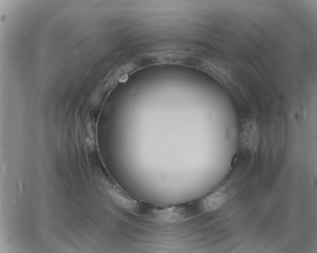 X0000064730430200602171646