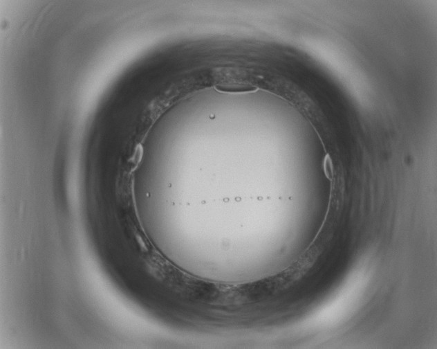 X0000064730431200602171646